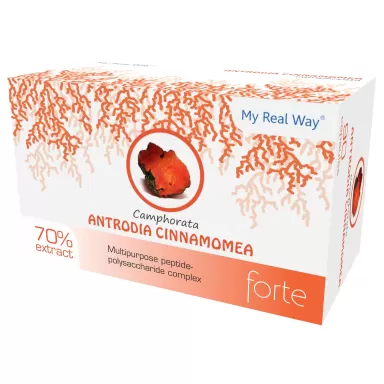Antrodia Camphorata medicinal mushroom "King of medicine" and the most powerful anti-cancer mushroom loading=