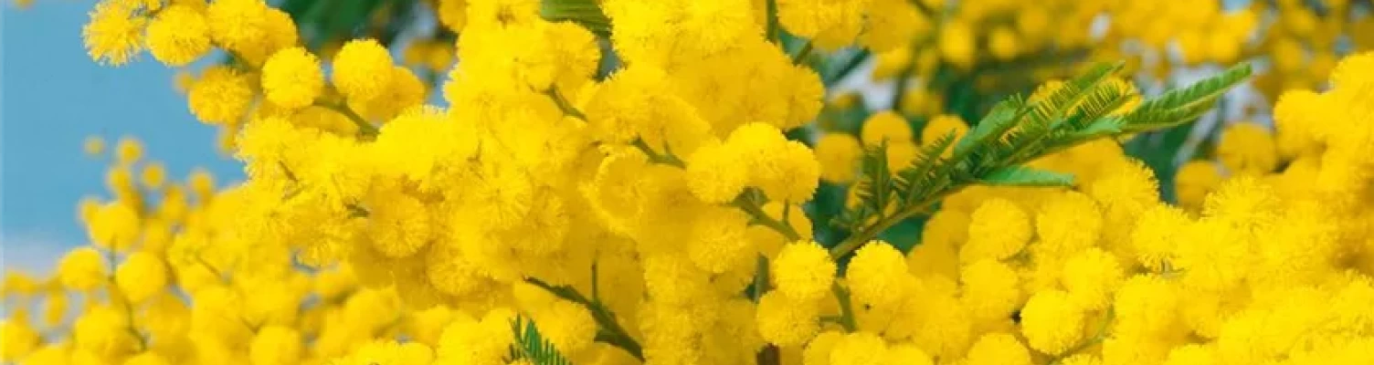 Women's Hormonal Balance and Inside-Out Beauty